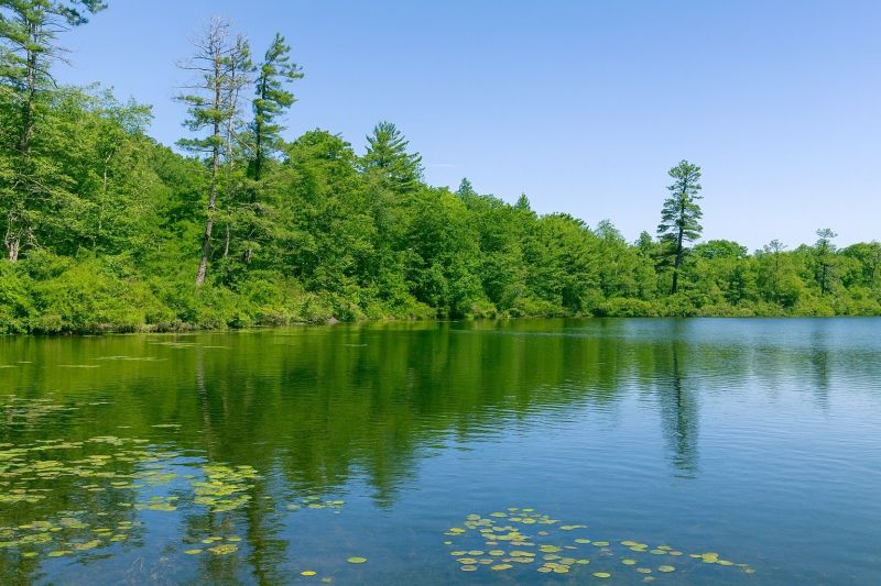 Best Bathroom Remodeling pros in Lake Ariel, PA