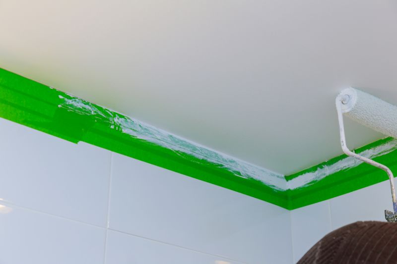 Painting and Finishing Experts